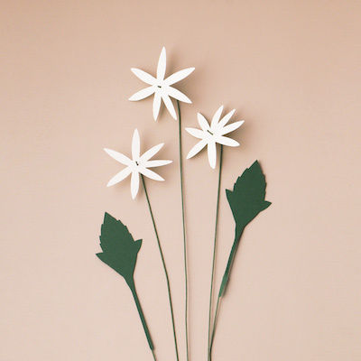 好玻 x 紙物—小花日盒： DIY紙花單入組