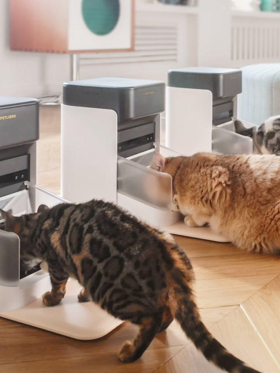 【PETLIBRO】RFID 自動餵食器