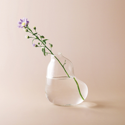 好玻bubble玻璃擴香花器