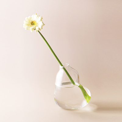 好玻bubble玻璃擴香花器