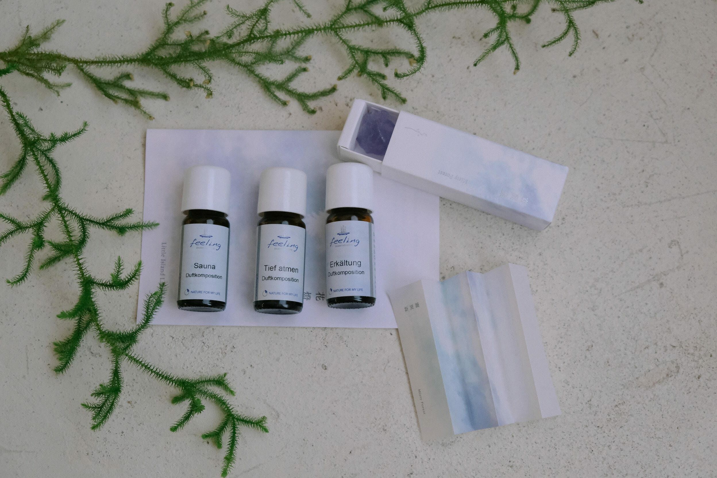 複方精油 | 霧與森系｜杉山小徑