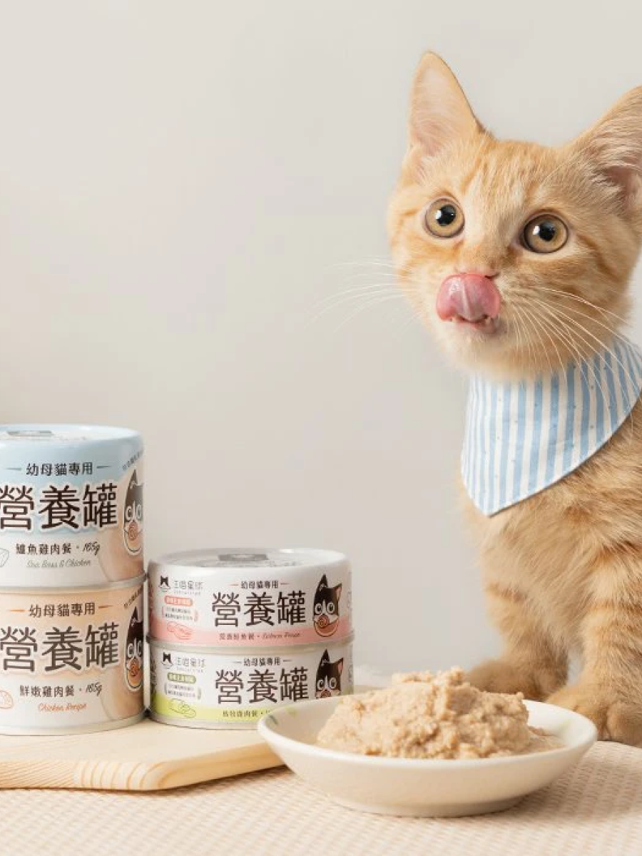 【汪喵星球】幼母貓98% 營養無膠主食罐｜鱸魚雞肉
