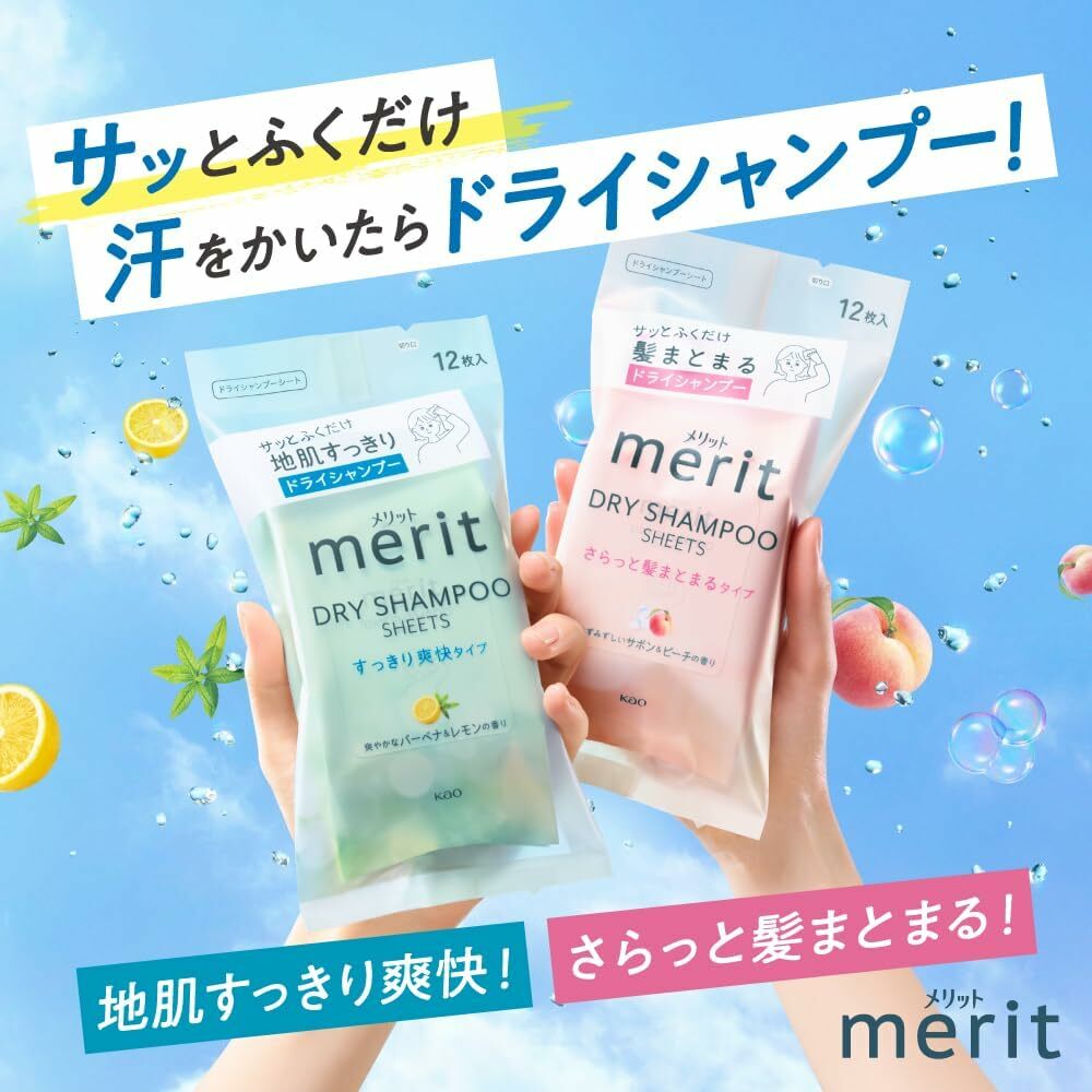 【 現貨｜預購 】花王 Merit Day+ 乾洗髮濕巾 日本