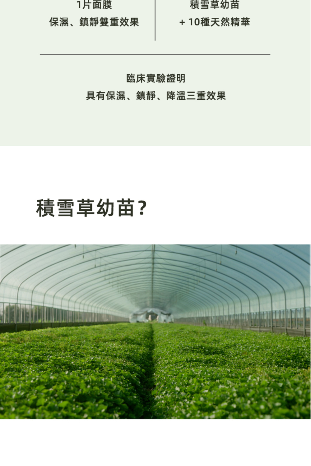 LUVUM積雪草幼苗舒緩鎮靜冰凝膠面膜,含積雪草精華,具有舒緩、鎮靜和修復肌膚的功效,幫助減緩肌膚泛紅,適合敏感肌及曬後修護使用。