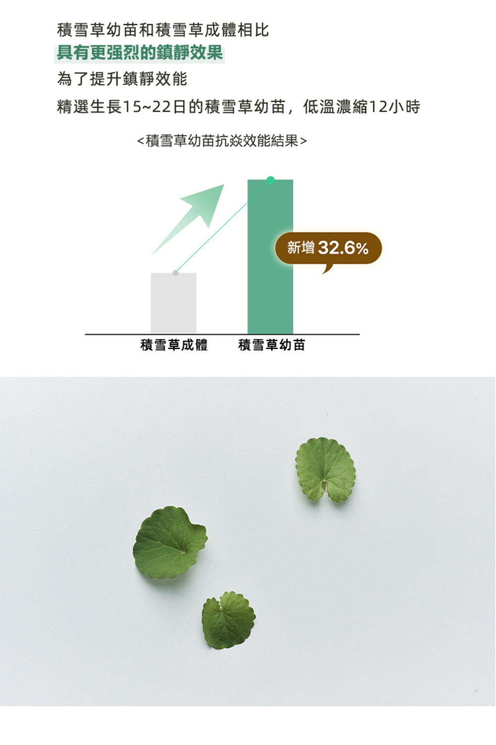 LUVUM積雪草幼苗舒緩鎮靜冰凝膠面膜,含積雪草精華,具有舒緩、鎮靜和修復肌膚的功效,幫助減緩肌膚泛紅,適合敏感肌及曬後修護使用。