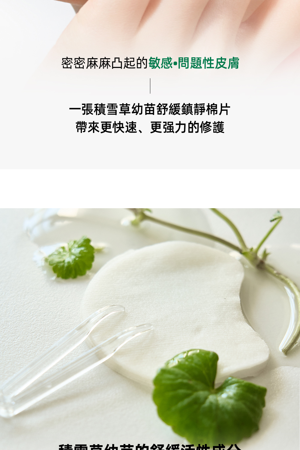 Luvum積雪草幼苗半月棉片60片,富含積雪草提取物,專為舒緩和修復肌膚設計,適合卸妝、清潔和護膚,柔軟細緻,輕鬆去除雜質和妝容,讓肌膚保持清新亮麗。