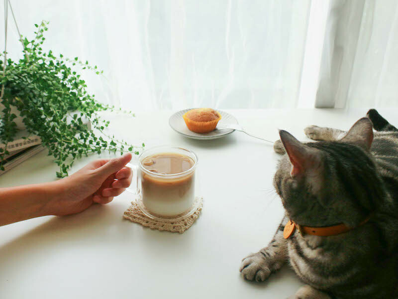 好玻雙層玻璃杯