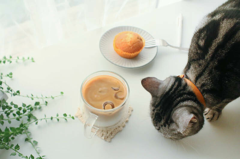 好玻雙層玻璃杯