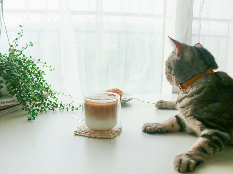 好玻雙層玻璃杯