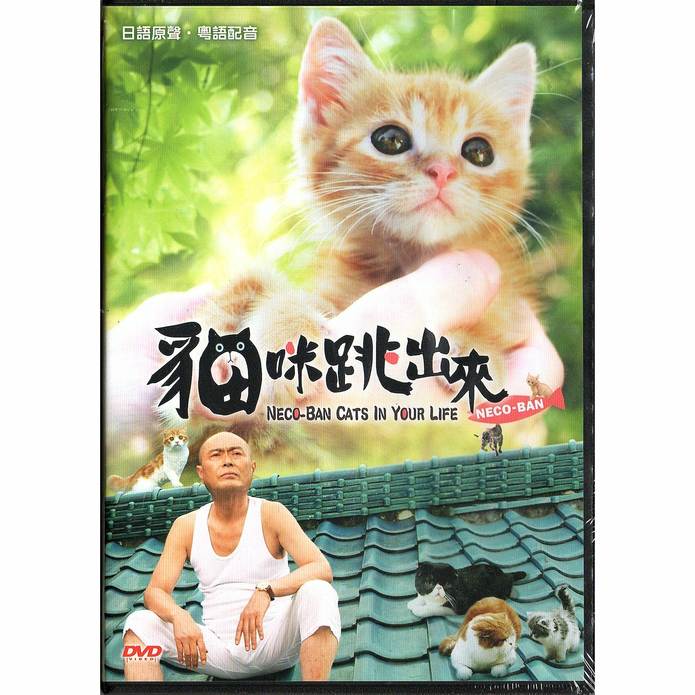 貓咪跳出來 (2011) (DVD)