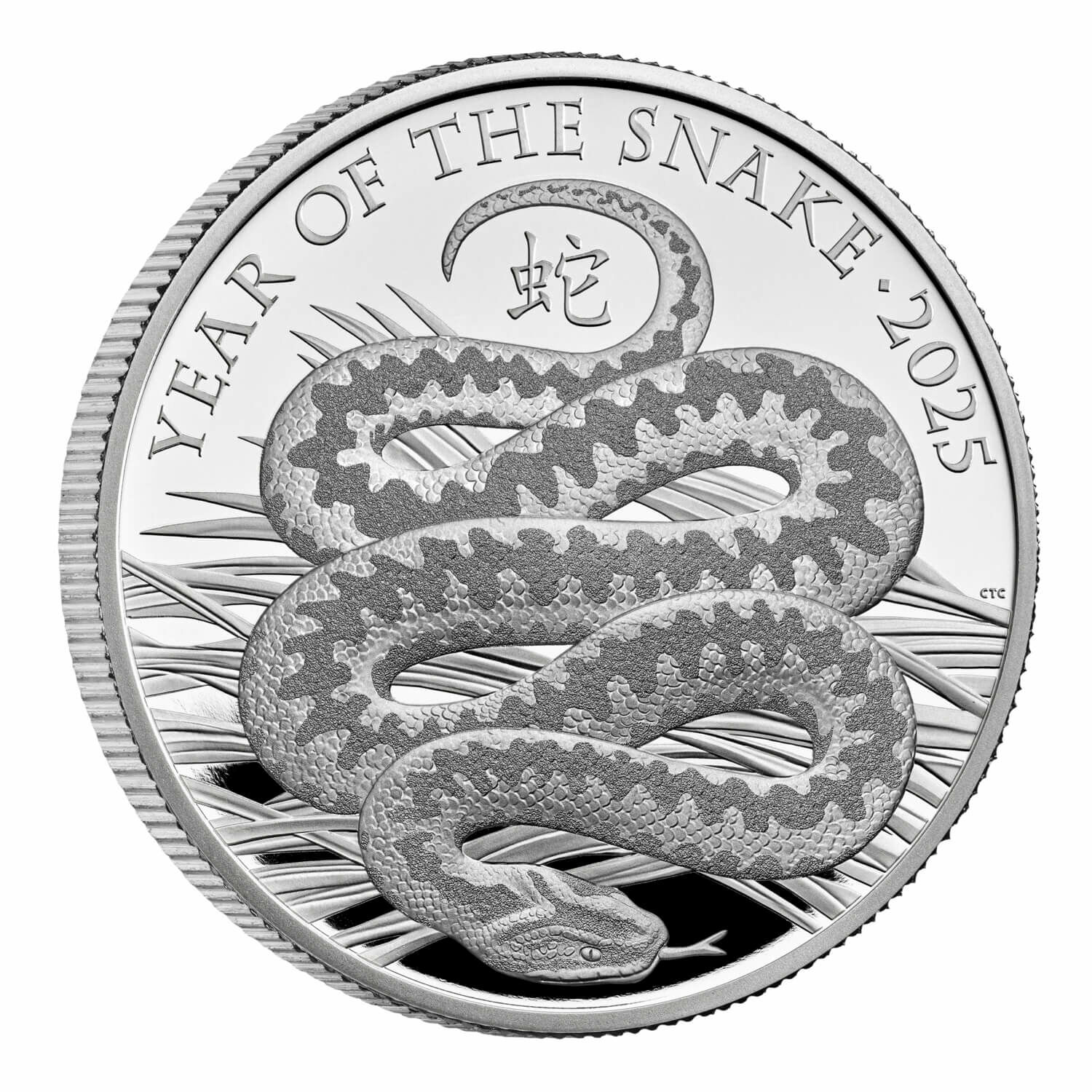 2025英國蛇年生肖紀念1盎司精製銀幣