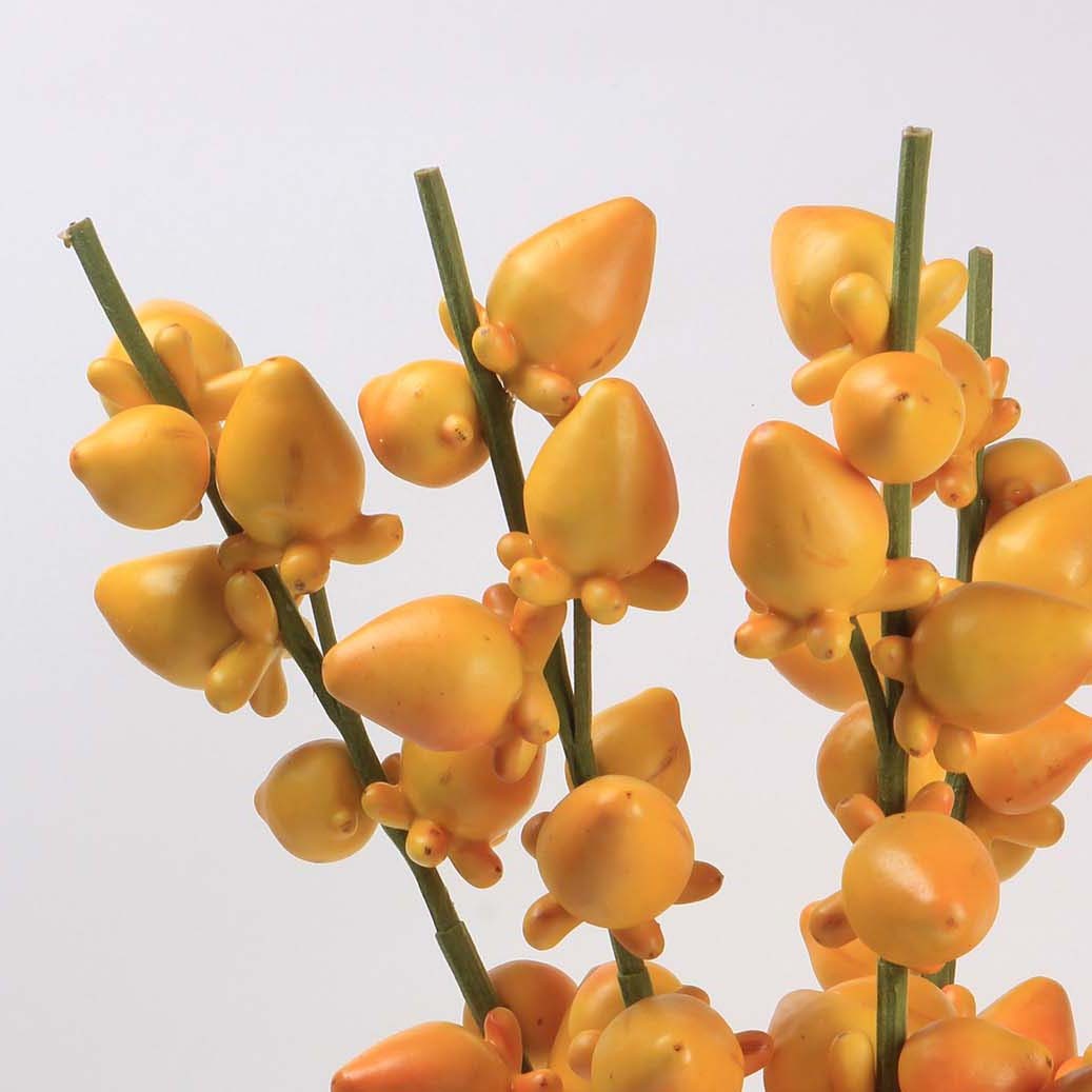 仿真PE模擬黃金五福果 (果實)