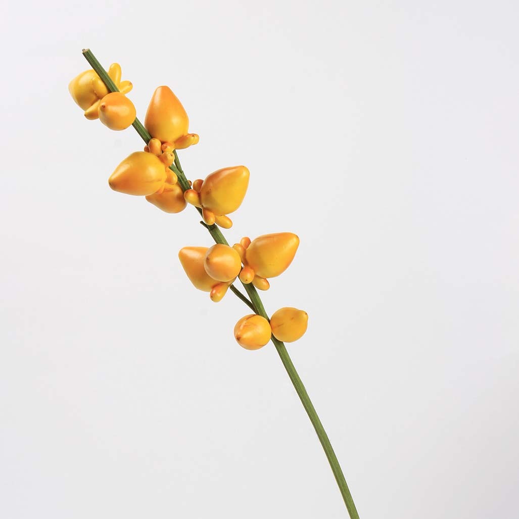 仿真PE模擬黃金五福果 (果實)