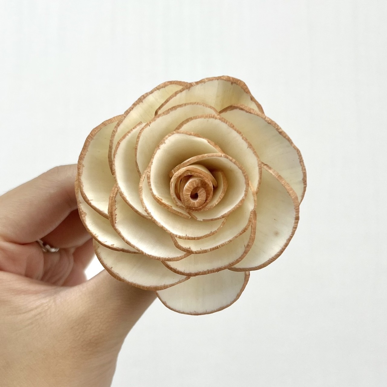 越南索拉花 小香風平原玫瑰 6CM <十支一把>