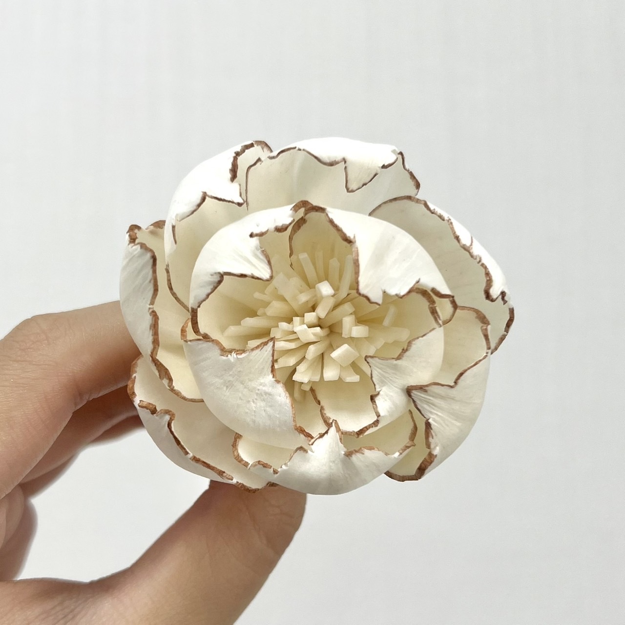 越南索拉花 小香風玫瑰 6CM <十支一把>