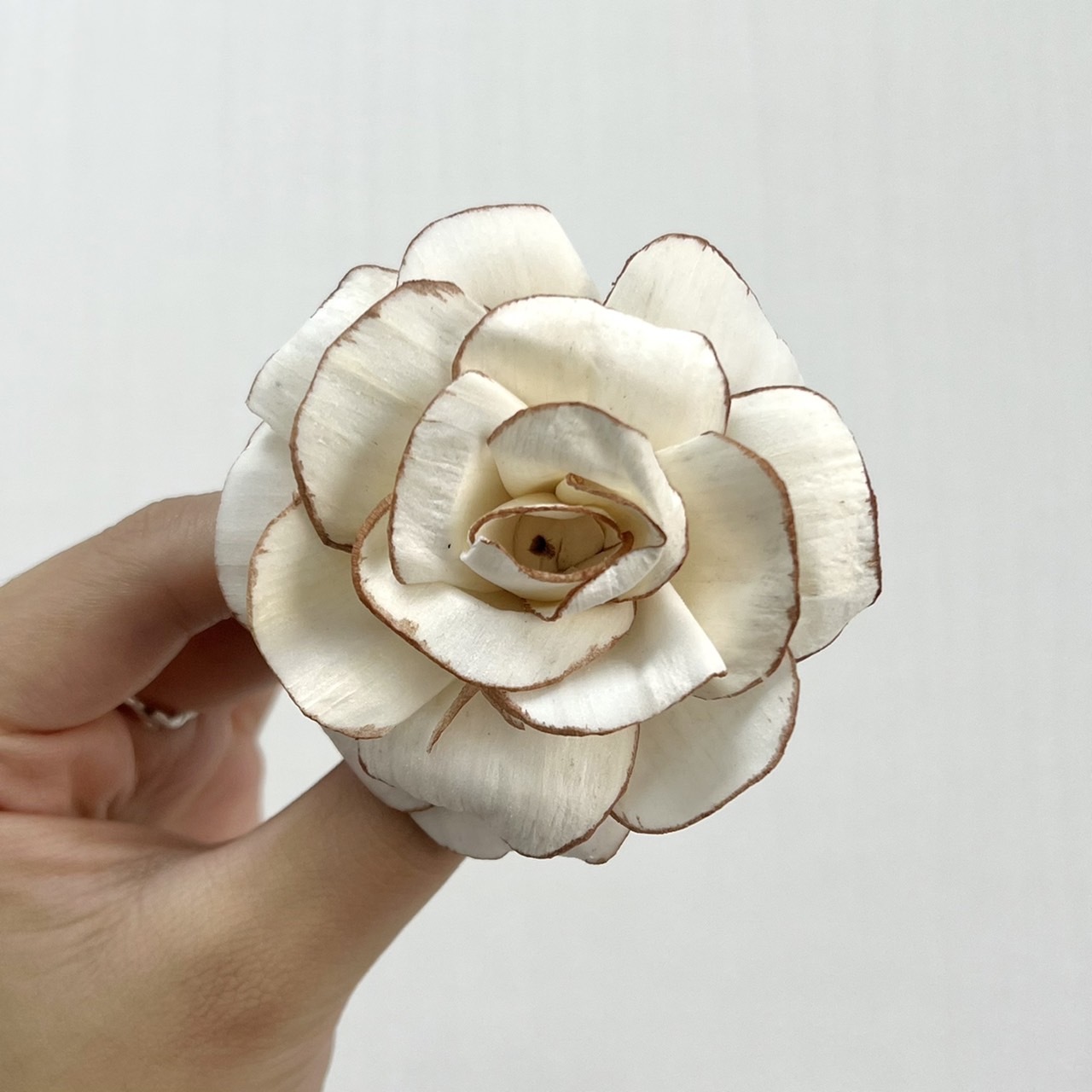 越南索拉花 小香風大馬士革玫瑰 6CM <十支一把>