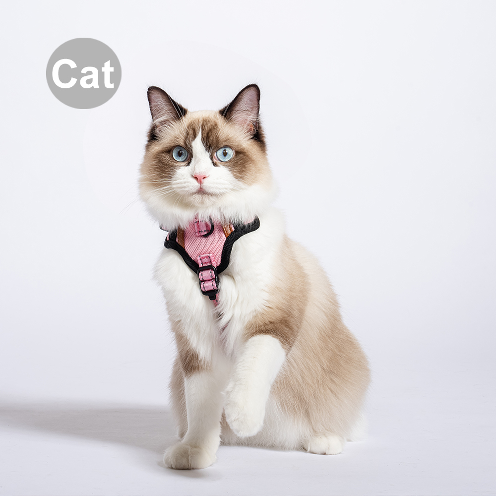 Pawfect-Fit! 機能寵物胸背帶2.0 - (Cat)