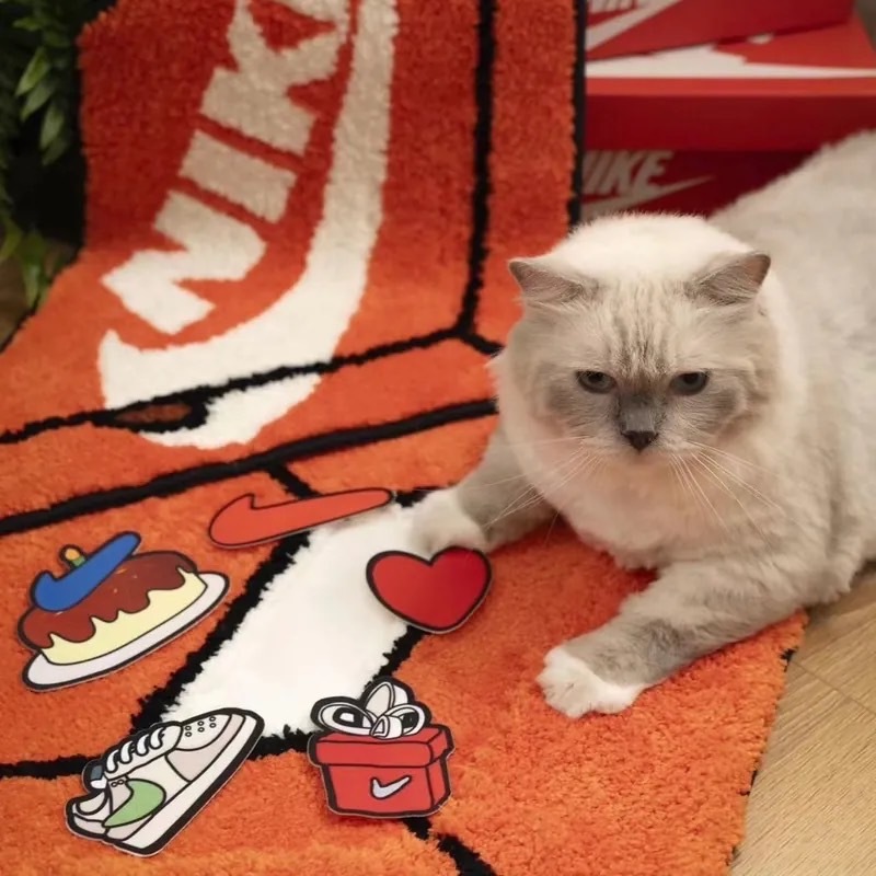 <快速出貨> Nike 經典鞋盒 DIY 拼貼 造型 二合一 地毯