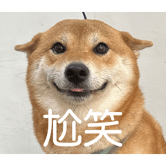 尬笑（隱藏價格）