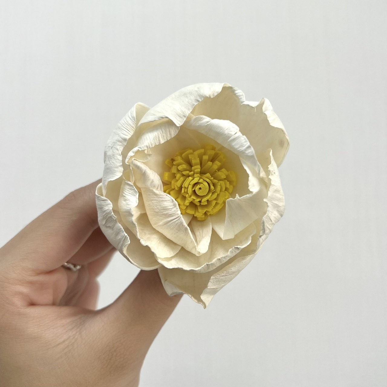 越南索拉花 牡丹(黃心)6CM<十支一把>