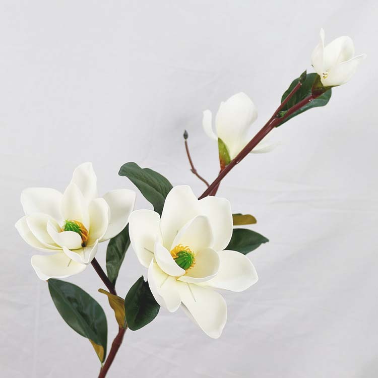 仿真EVA玉蘭 (木蘭)