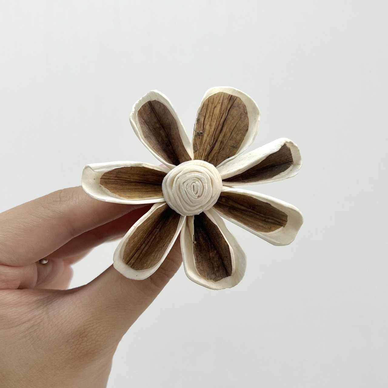 越南索拉花 木片小雛菊 6CM<十支一把>