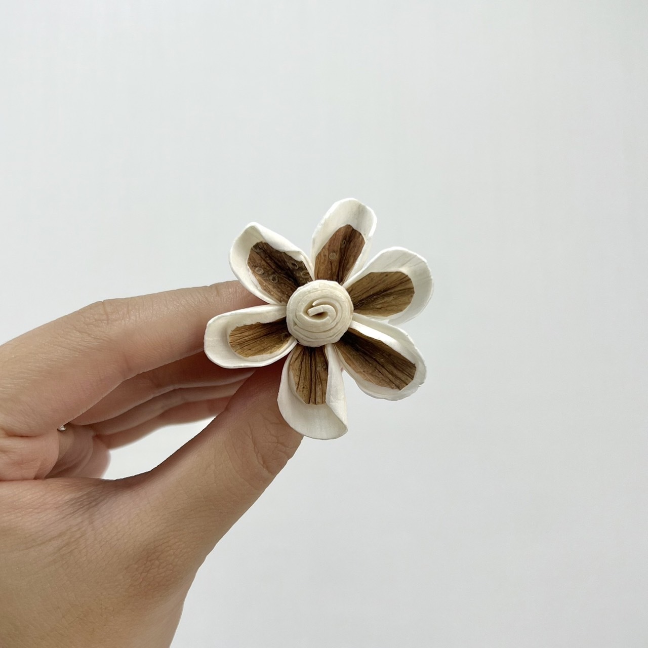 越南索拉花 木片小雛菊 4CM<十支一把>