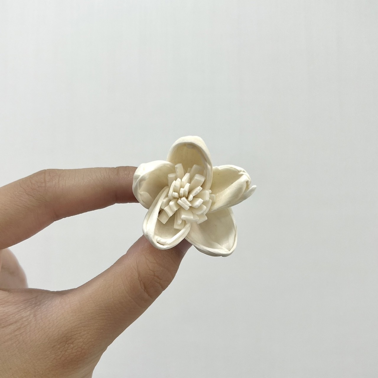 越南索拉花 蓮花(白心) 3CM<十支一把>