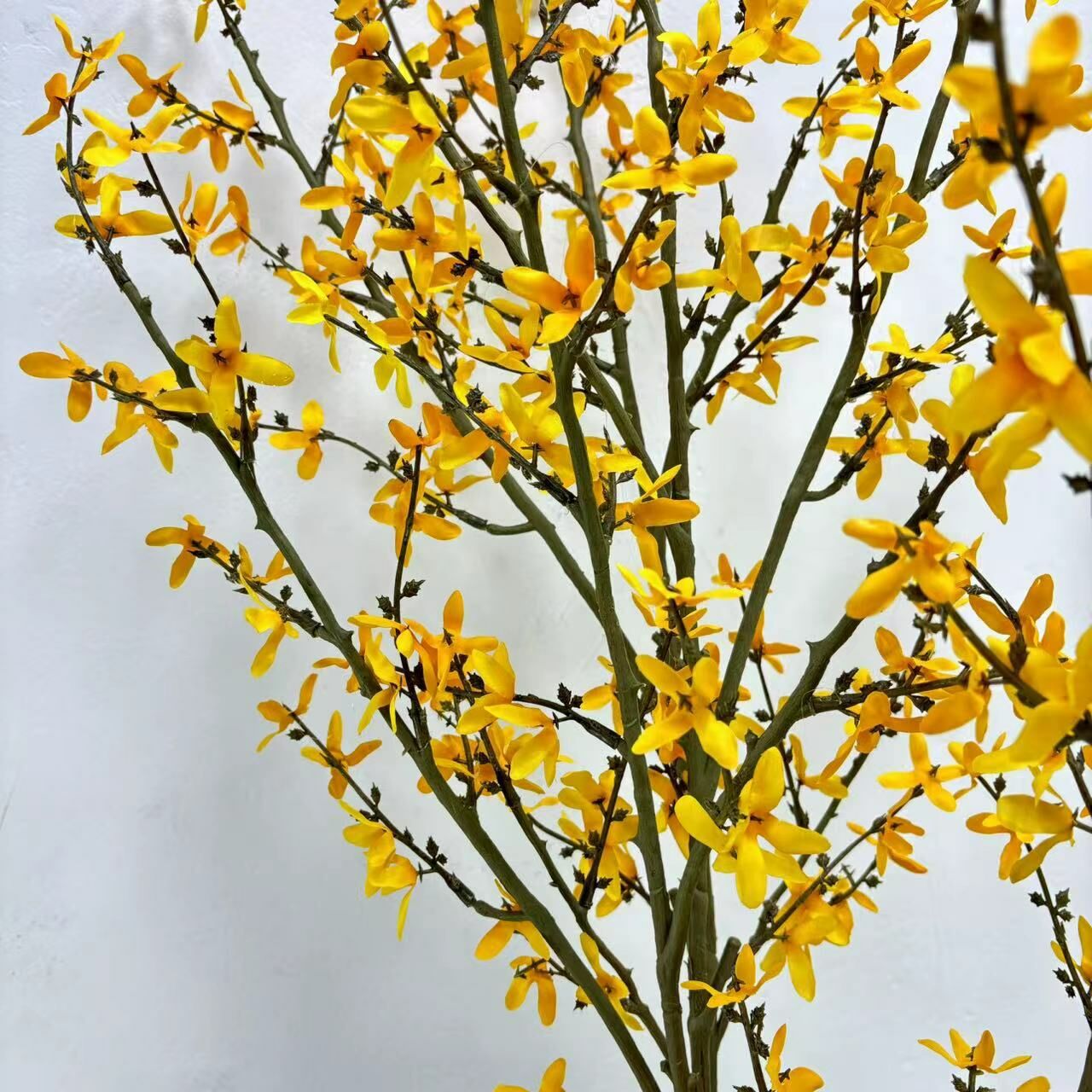 仿真絹布迎春花