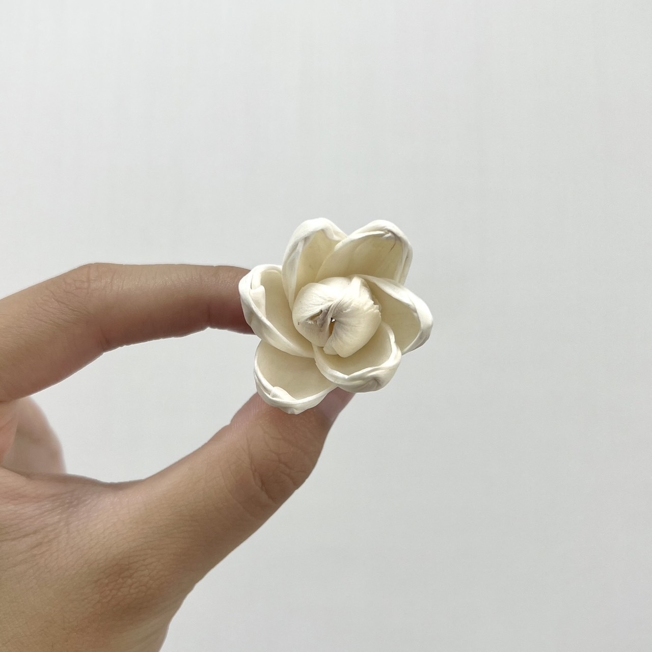 越南索拉花 含苞蓮花 3CM<十支一把>