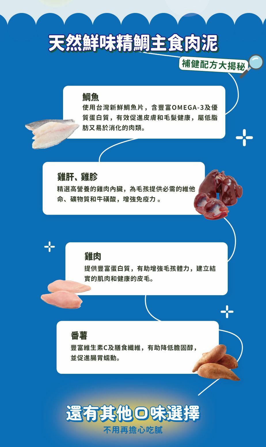 皇室貴寵 - 天然鮮味精鯛主食肉泥 100g