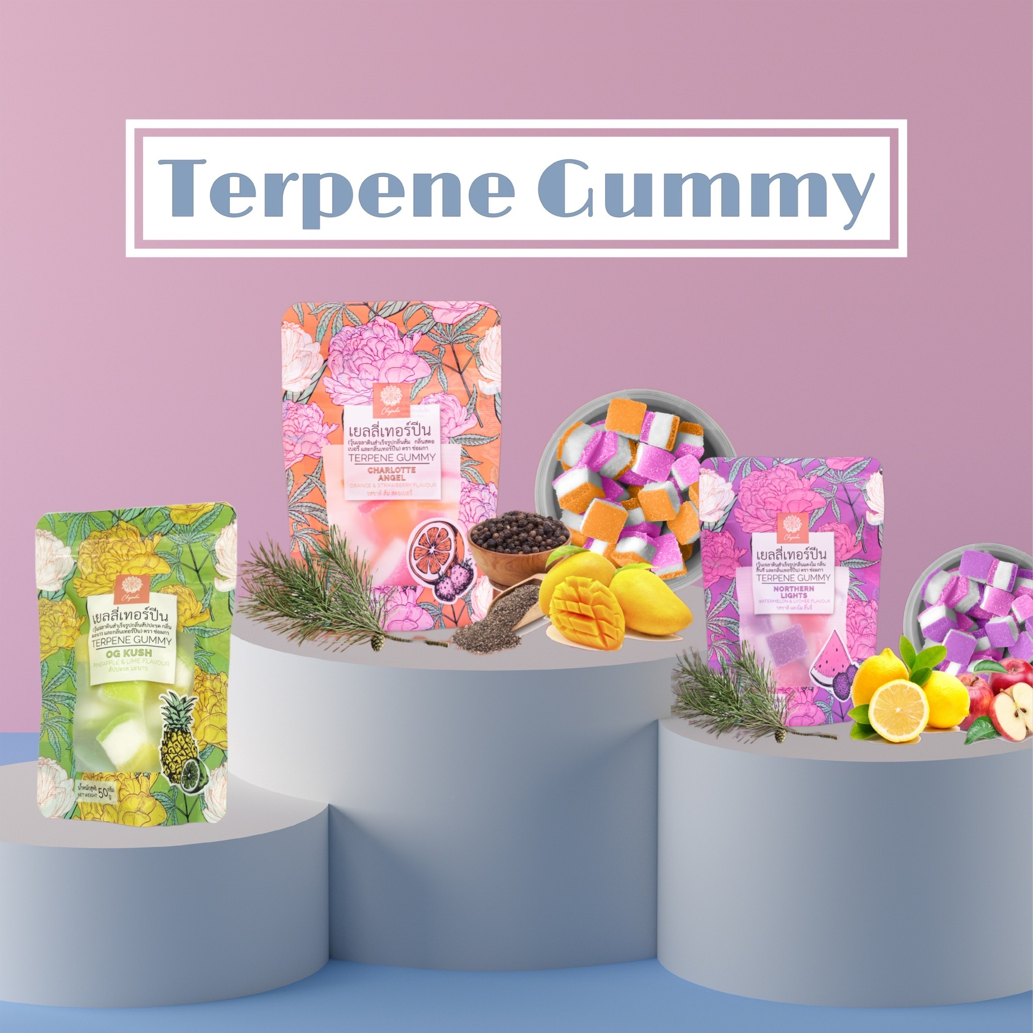 🇹🇭Chopaka 萜烯軟糖（Charlotte Angel）