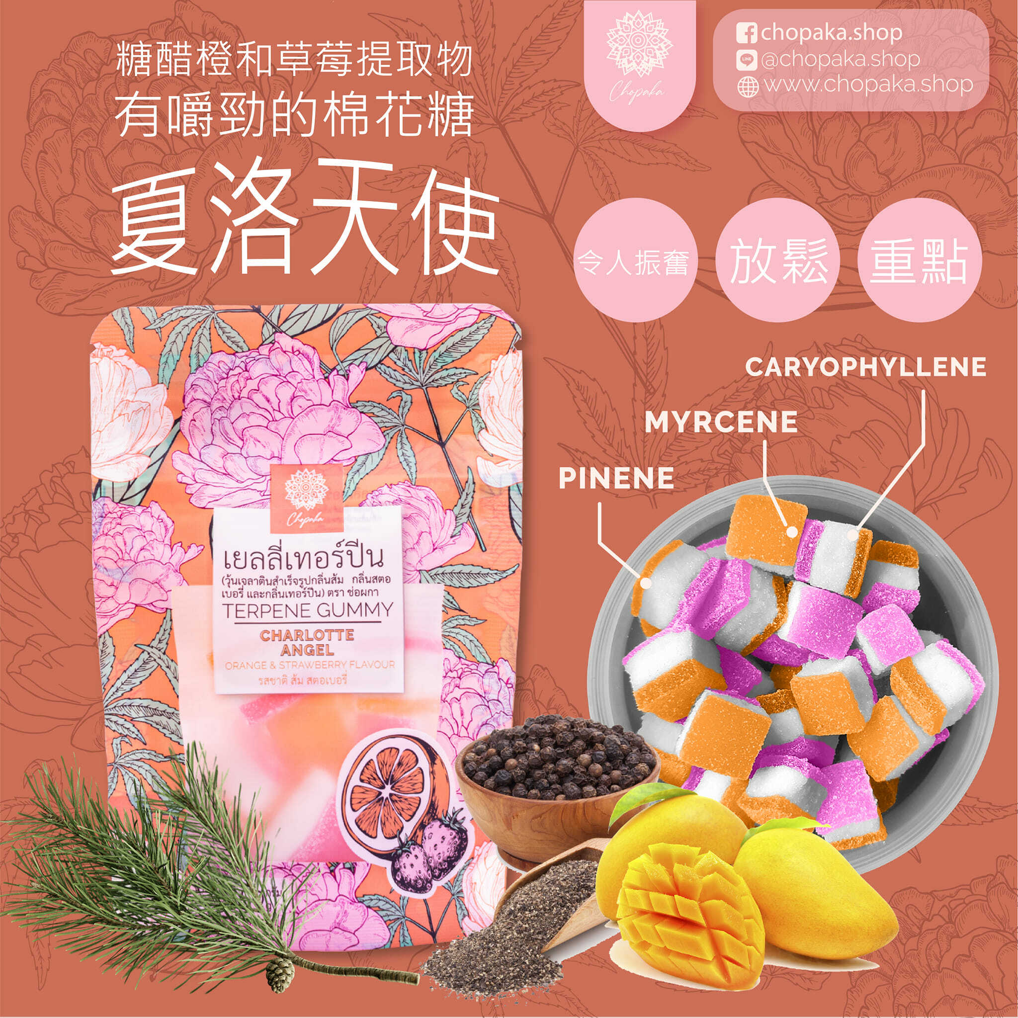 🇹🇭Chopaka 萜烯軟糖（Charlotte Angel）