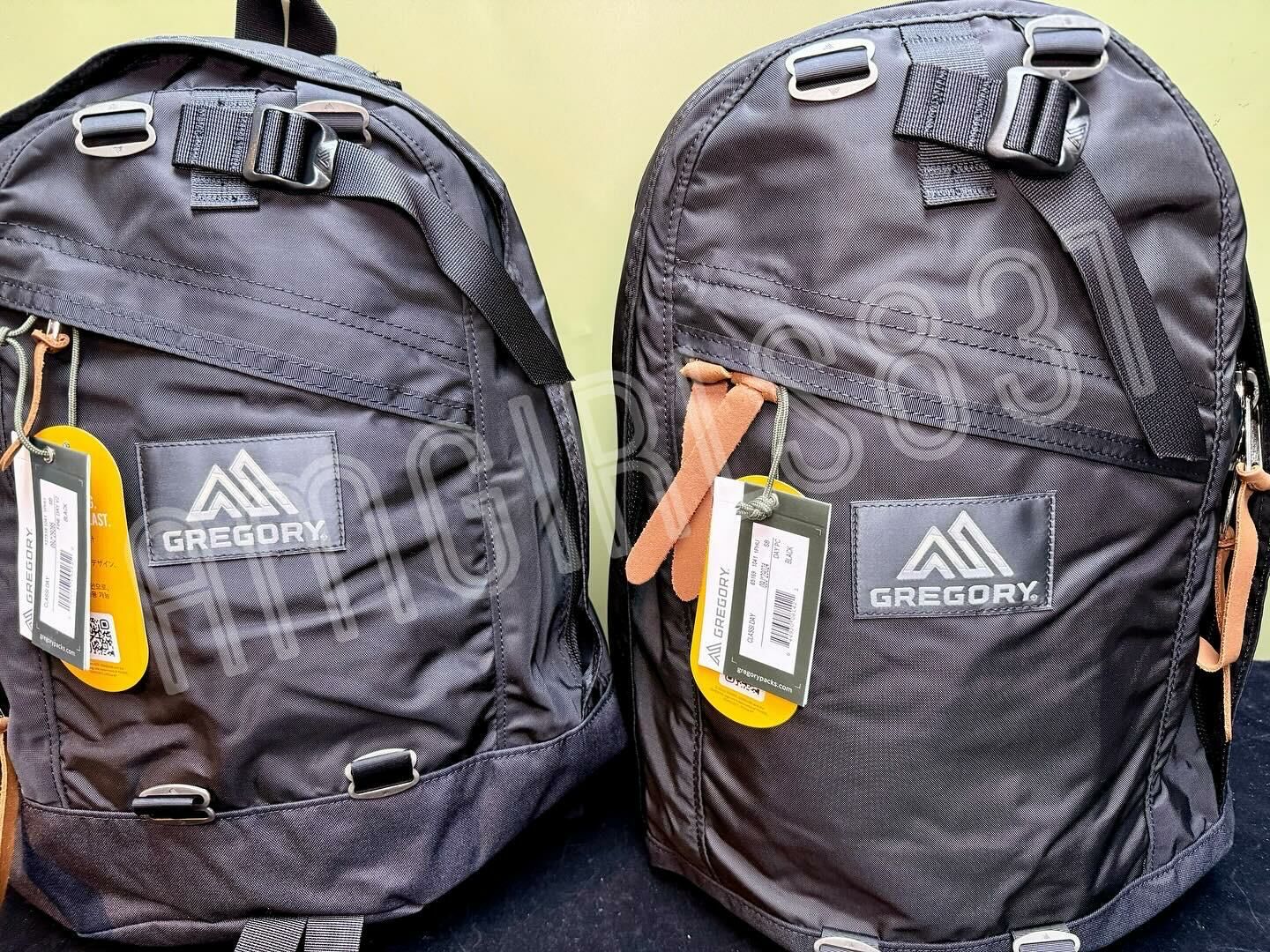 Gregory day pack Black +  GREGORY Fine day V2 Black