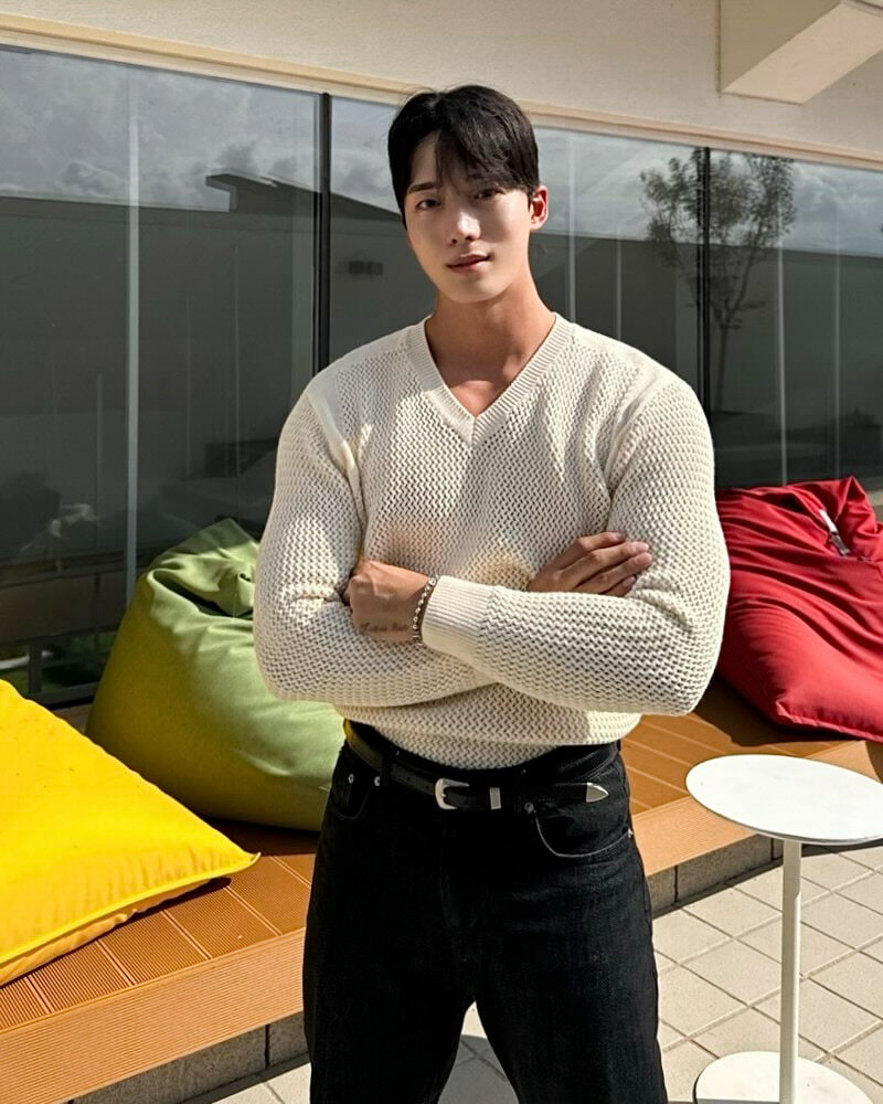 羊毛高級肌肉V領針織衫