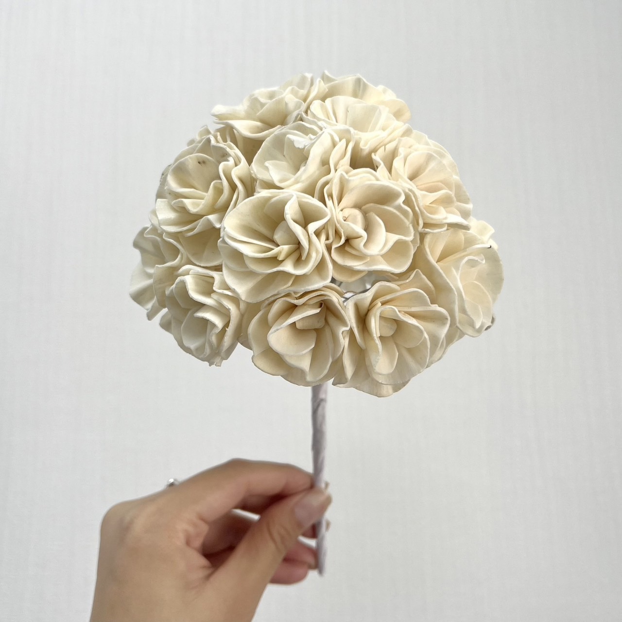 越南索拉花 繡球花12CM <單支>