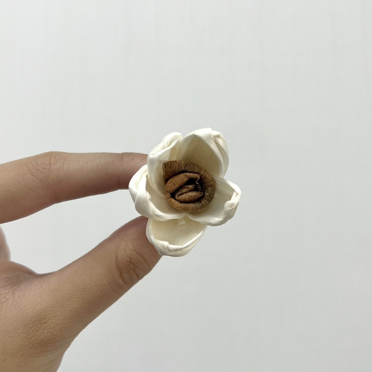 越南索拉花 迷你蓮花(咖啡捲心) 3CM<十支一把>