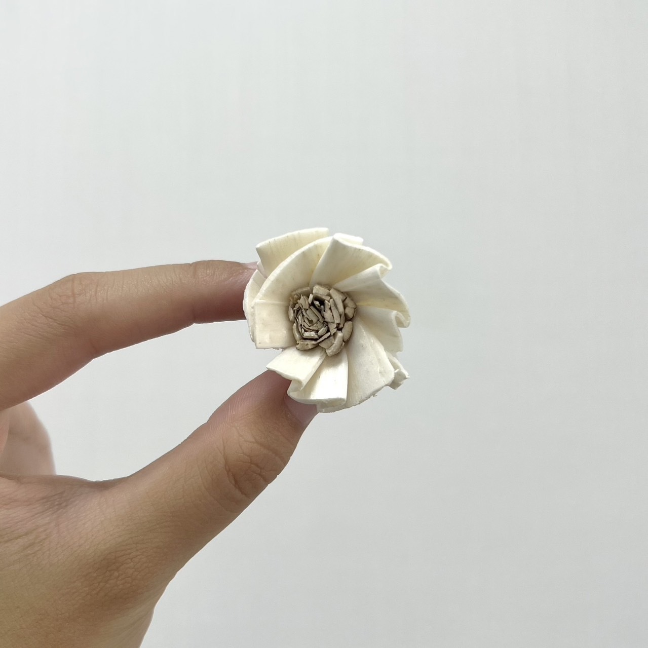 越南索拉花 銀蓮花 3CM<十支一把>