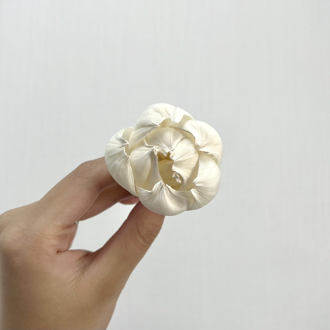 越南索拉花 鬱金香 4CM<十支一把>