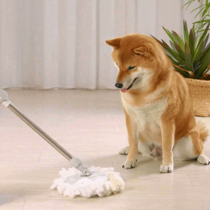 寵物除臭地板清潔液 1000ml