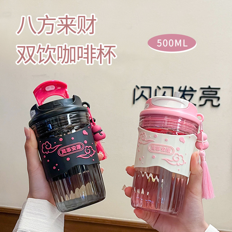 Ancient Style Plastic Water Bottle - 500ml