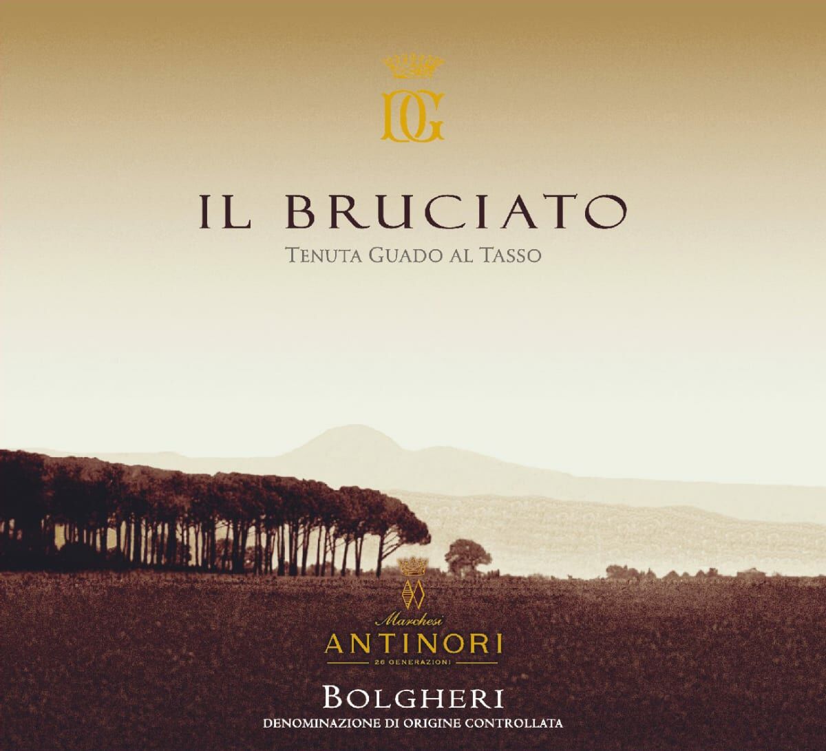 Tenuta Guado al Tasso Il Bruciato 2021 (WE92)