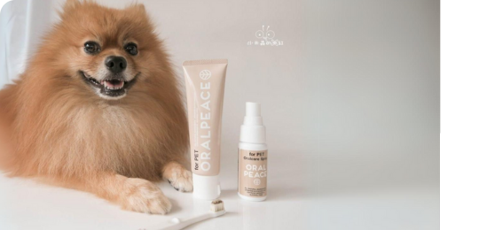 狗狗刷牙試用開箱