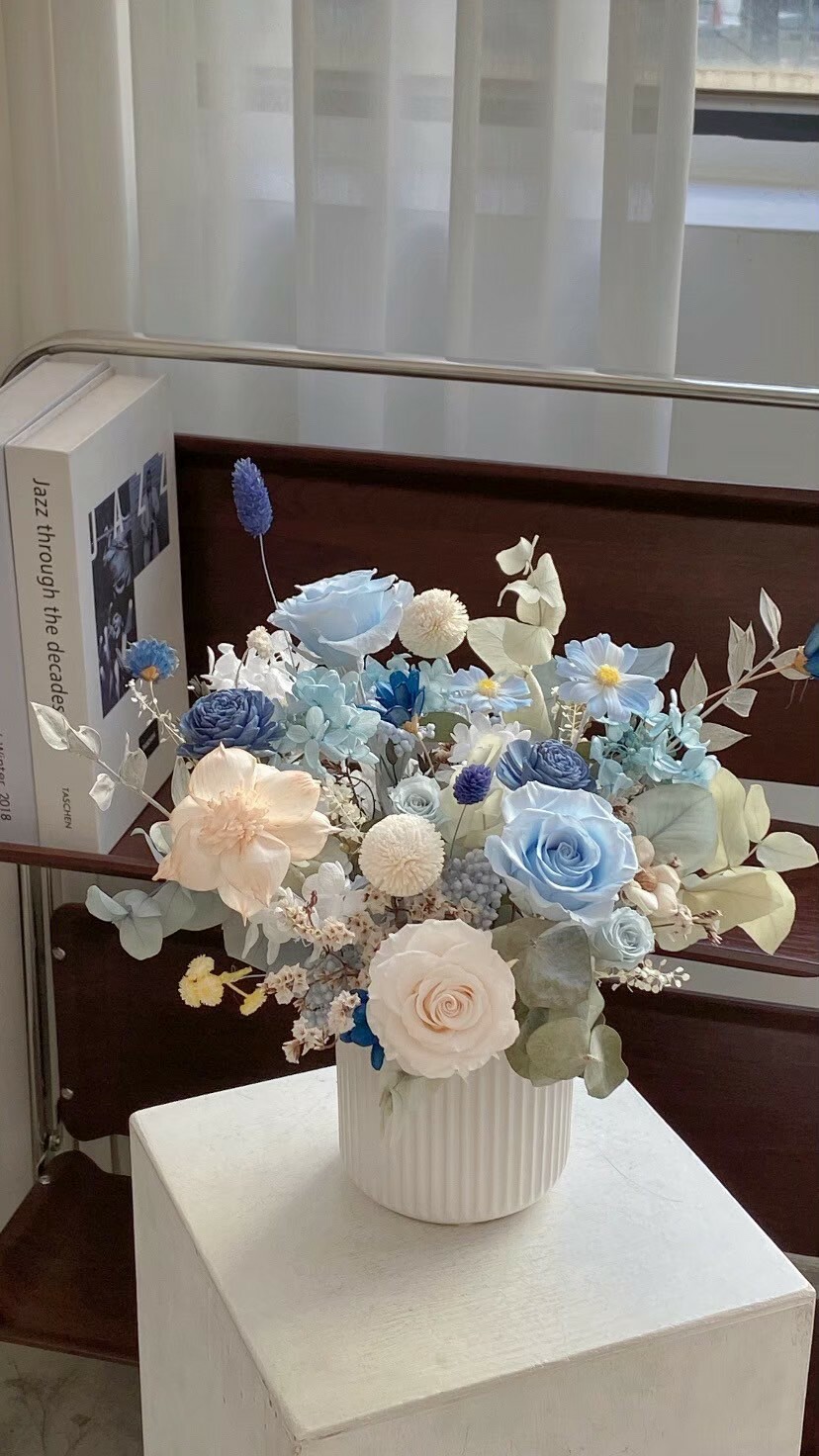 開幕永生盆花-蘇打藍