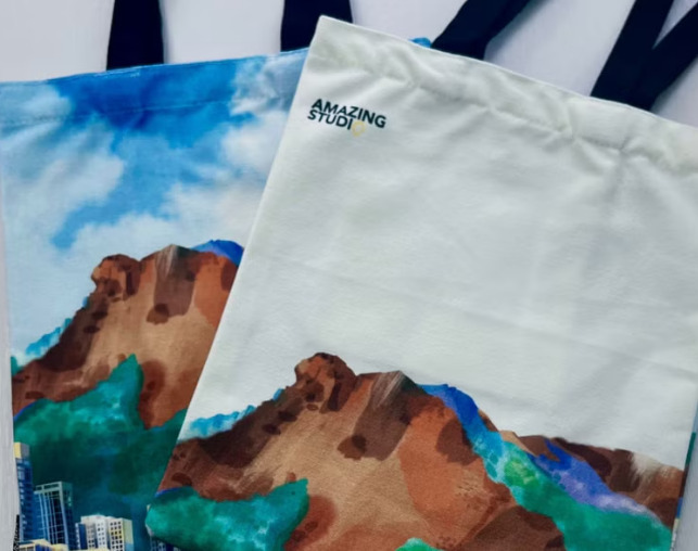 AMAZING STUDIO 側背帆布袋【獅子山】