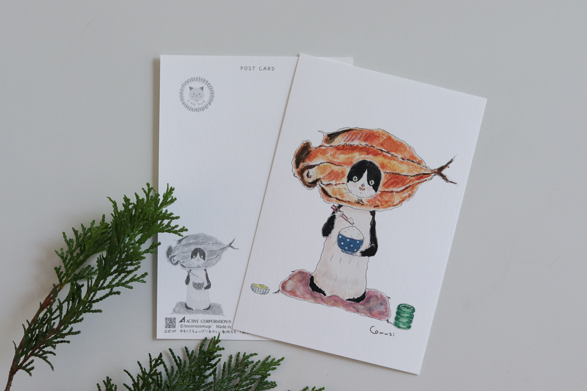 日本 トコロコムギ 戴竹莢魚頭套的貓 明信片