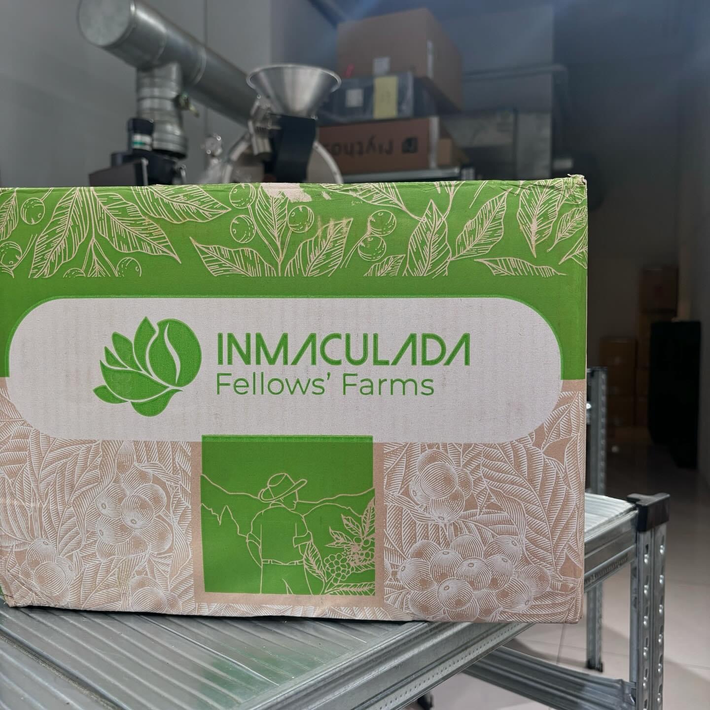 【咖啡生豆】 哥倫比亞 聖潔莊園 追光者計劃 藝伎 / 瑰夏 日曬