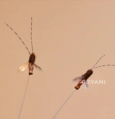 GOYAMI｜蟑螂雙兄弟逗貓棒