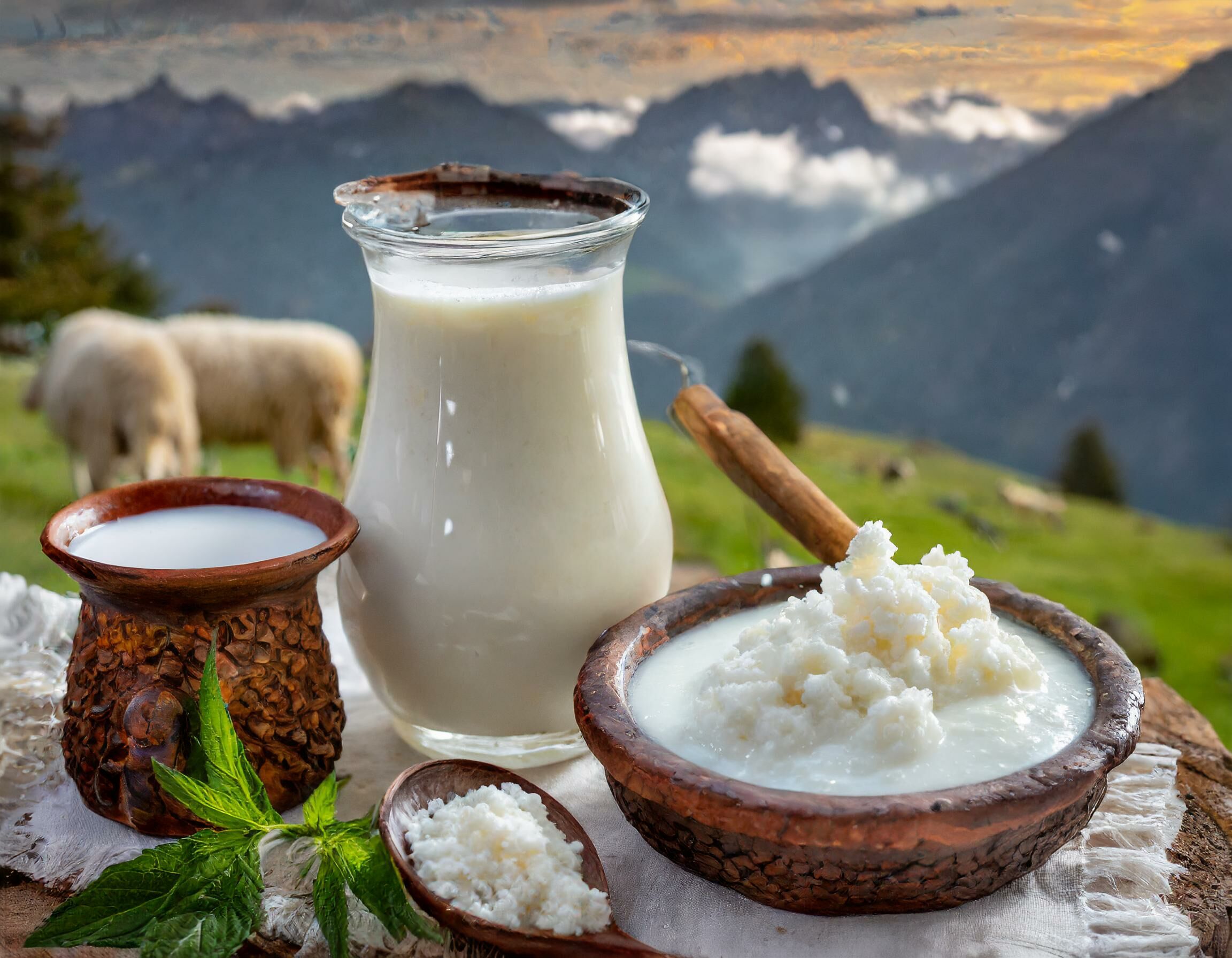 美國學界稱乳酸菌是對抗憂鬱的潛力新星