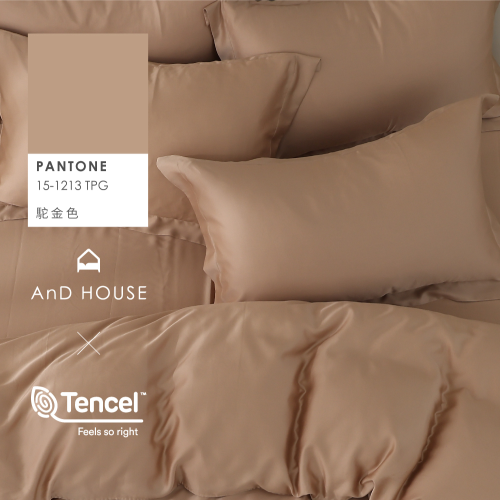 60支天絲｜100%萊賽爾｜駝金色｜單品&床包被套組